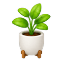 Plants